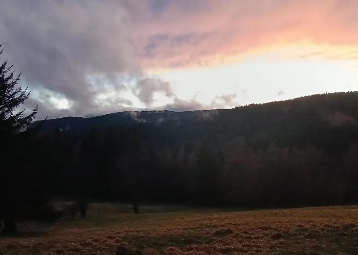 S Vyhledem * Jáchymov